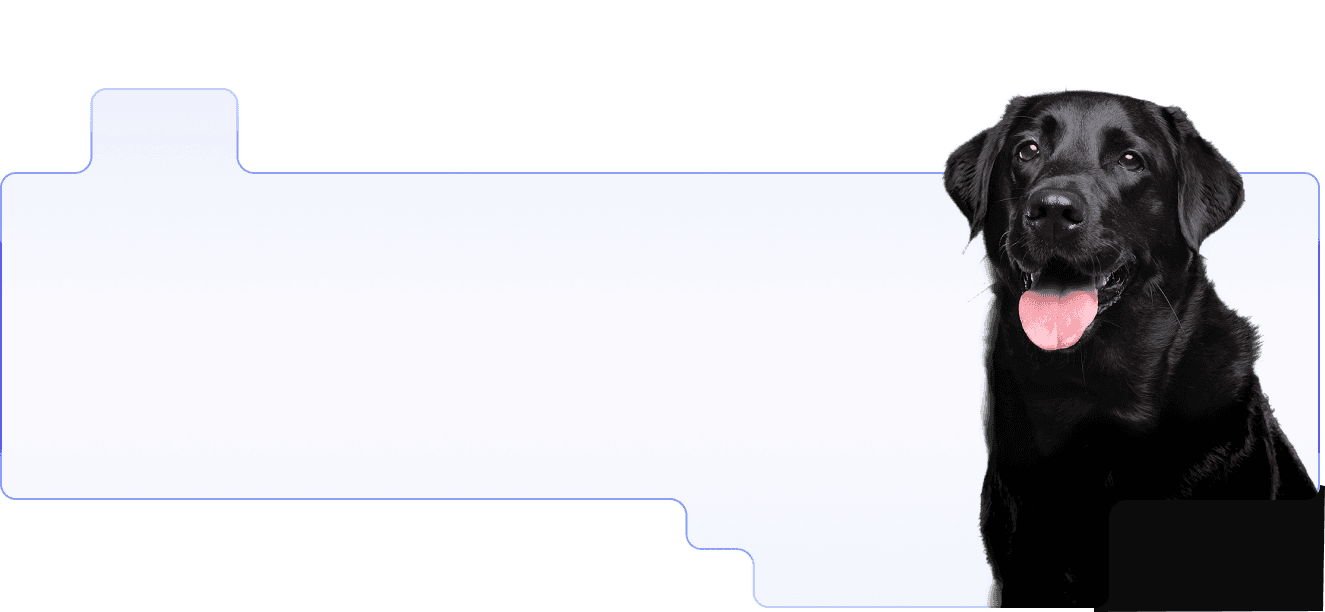 CTA Desktop